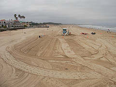 Beach Clean up